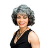 Barbara Wig Color FS4/27 - Foxy Silver Wigs Curly Shag