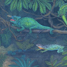 Concord Wallcoverings Wallpaper Border Animal Pattern Jungle Lizards Frogs Snakes for Boy's Bedroom Playroom, Green Brown Red Yellow, 15 Ft by 6 In BE11241MB