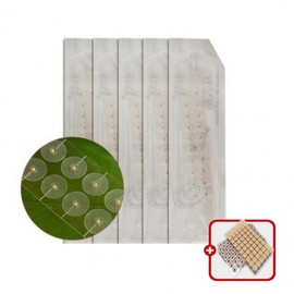 Transparent Ear Acupressure Patches for Auricular Points Gold Ear Acupressure Beads