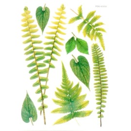 Crafter's Square Fern Leaves Plant  Planner Textured Stickers Papercraft Floral Garden Crafts