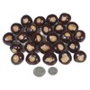 DriedDecor.com Ohio Buckeye Nuts - Large Size Buckeyes Nuts