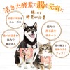 Dog Cat No Additives Enzyme Supplement (Up-And-Coming Live Enzyme G)