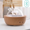 200ml Glass Essential Oil Diffusers for Home, Wood Grain Base