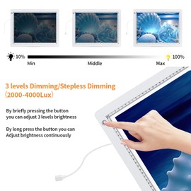 Zocelight A4 Light Pad for Diamond Art kit for Adults,Ultra Thin Light Board with Stand and Clip for Diamond Painting Accessories,3 Levels Dimming Light Box for Drawing,Sketching,Animation(White)