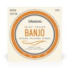 D'Addario EJ63i 12-36 Nickel Irish Tenor Banjo String