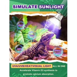 Heat Lamp Bulb, Halogen Bulb, Full Spectrum UVA UVB, Intensified Light and Heat Radiation, Simulate Natural Sun Light for Reptile and Amphibian, Set of 50 Watt Bulbs for Day and Night Switch