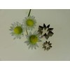 PME Stainless Steel Daisy 8 Petal Cutters, Small Size, Set