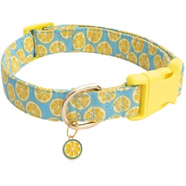 Faygarsle Cute Dog Collar for Girls Boy Dogs Soft Fancy Pet Collar with Lemon Design Ideal Yellow Green Summer Dog Collar for Small Medium Large Dogs M