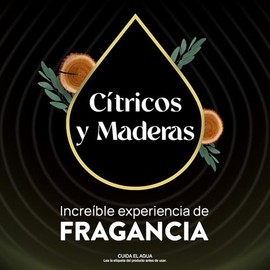 Air Wick Repuestos para Aromatizante de Ambiente Eléctrico, Cítricos y Maderas, 2 repuestos de 23.9 ml c/u