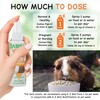 Oasis Guinea Pig Pure C Vita E-Z Mist Supplement, 2