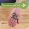 Sow Right Seeds - Bulk Mixed Heirloom Lettuce Seeds for