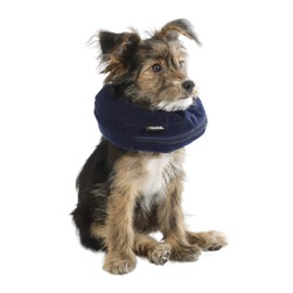 Kerbl Pet Maxi-Pet 80834 Inflatable Dog Collar 18-30 cm Blue