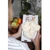 Foragers Table Gourmet Mushroom Growing Kit Bundle Containing Lion's Mane