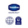 Vaseline Pure Jelly Jar 1.8 Oz(3PK)