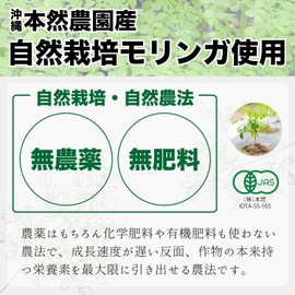 本然農園 モリンガ青汁 RESCUE 健康青汁 粉末 マンジェリコン 自然派 ナチュナル 大麦若葉 食物繊維 乳酸菌 黒糖 スーパーフード (1箱（30本入：1ヶ月分）)