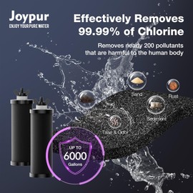 JOYPUR Black Purification Elements,Replacement Filters for ProOne® and Berkey® Filters,ProOne® Big+ or Berkey® Big Countertop Gravity Water Filter System and Purewell System (4 Pack)
