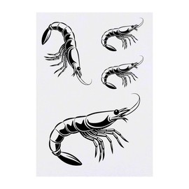 Azeeda 4 x 'Knallgarnelen' Temporäre Tattoos - Wasserfest, Hautfreundlich & Ungiftig · Transfers in Verschiedenen Größen (TO00073514)