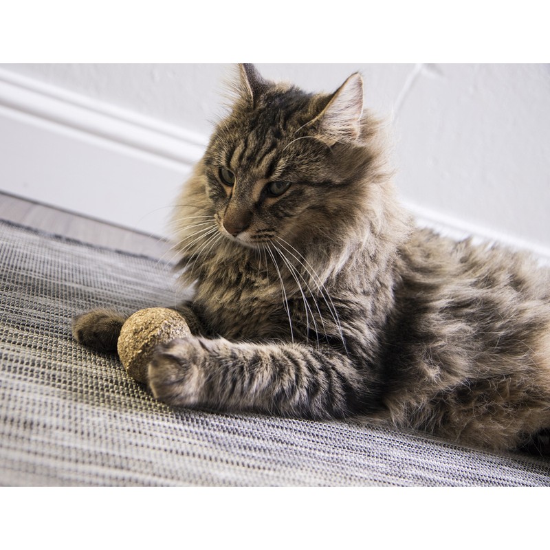 SmartyKat, Catnip Kiss, Cat Toy, Compressed Catnip Ball