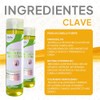 Ritual Botanico- Control de Caspa con Menta y Chile, Shampoo