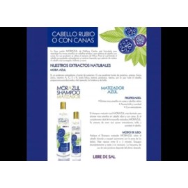 Shampoo Matizador Rubios Canas Mora Azul Nekane 300ml