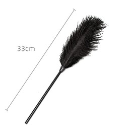 JIHUOO 2 Pcs Feather Cleaning Dusters Soft Feather Tickler Feather Teaser Wands Valentines Day Couple Toys Couples Games for Adults