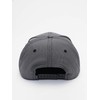 Reell Pitchout Cap, gray