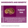 Fungi Perfecti - Host Defense Turkey Tail Cellular Support D