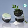 SalTherapy [NEW] SalTherapy Salty Body Scrub 300g - SALTY COAL
