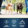 2 Hounds Design Freedom No Pull Dog Harness, Adjustable Harness