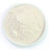 백복령 봉령 분말 가루 250g 국산 국내산 White Porcini Mushroom