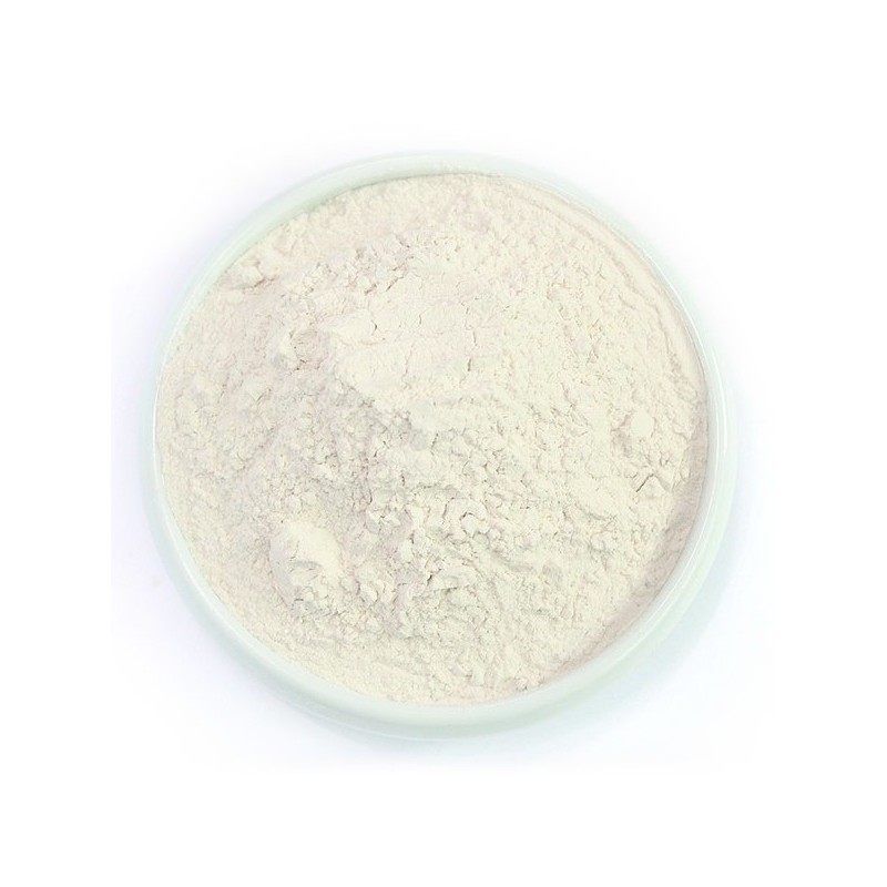 백복령 봉령 분말 가루 250g 국산 국내산 White Porcini Mushroom