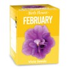 Gift Republic GR130048 February Birth Flowers