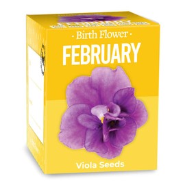 Gift Republic GR130048 February Birth Flowers