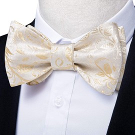 DiBanGu Beige Bow Ties for Men Self Tied Bow Tie Set with Pocket Square Cufflinks Silk Bowtie for Boys Wedding party