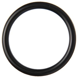 TOTO O-Ring TH91309E