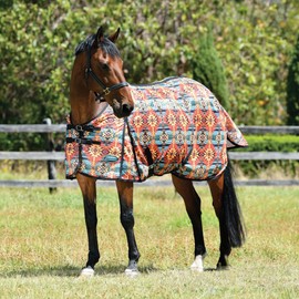 WeatherBeeta ComFiTec Essential Mesh II Standard Neck, Western Sunset Print, 69"