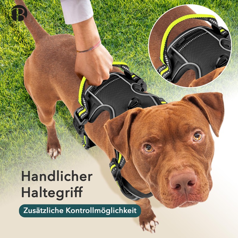 bluzelle Dog Harness for Small Dogs, Reflective Chest Harness with