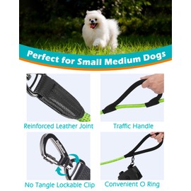 PetBonus Double Handle Rope Dog Leash, 5FT/6FT Heavy Duty Training Lead with Lockable Hook and 2 Comfortable Padded Handles, Reflective Walking Nylon Leash for Small Medium Dogs (1/2" x 5 FT, Green)