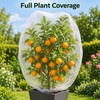 Plant Protection Netting for Fruit Trees & Garden Plants –