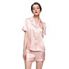 LEPTON 100% Mulberry Silk Short Sleeve Pajama Set (as1, alpha,