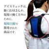 Denko Home Ice Ruck, Vertical Type, Includes 2 Ice Packs,