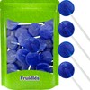 Fruidles Raspberry Lollipops Candy Suckers for Kids, Kosher, 8 Bulk