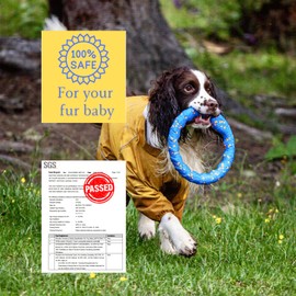 Karpic Popaws Indestructible Dog Ball Toy Set for Aggressive Chewers - Durable Floating Dog Tennis Balls - Interactive Chew Ring - Puppy Teething and Fetch Toy (1Ring+3Balls)