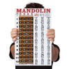 Laminated Mandolin Fretboard Notes & Easy Beginner Chord Chart 11"x17"