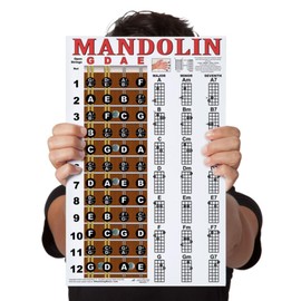 Laminated Mandolin Fretboard Notes & Easy Beginner Chord Chart 11"x17" Instructional Poster by A New Song Music