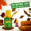 Biovital Propolis in Pure Tropical Honey 100% Herbal with 10