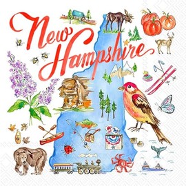 IHR Ideal Home Range Cocktail Napkins Rosanne Beck Disposable 3-Ply Paper Party Napkin Pack, 5" x 5", New Hampshire, 20-Count