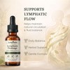 Aacnre Lymphlite Lymphatic Drainage Drops, Bloat Relief & De-Puff Ankles