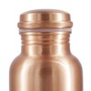 HealthGoodsIn Pure Copper Bottle 500 Ml (16.90 Fl Oz), Eco-Friendly,