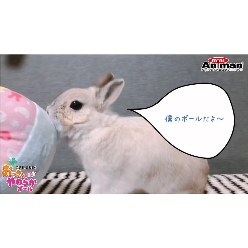 Mini Animan Bunny Toy Big Soft Ball